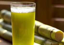 Sugar Cane