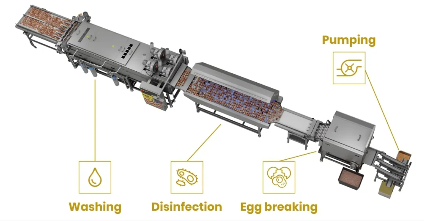 Egg Processing Lines