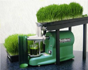 Nutrifaster wheatgrass juicer