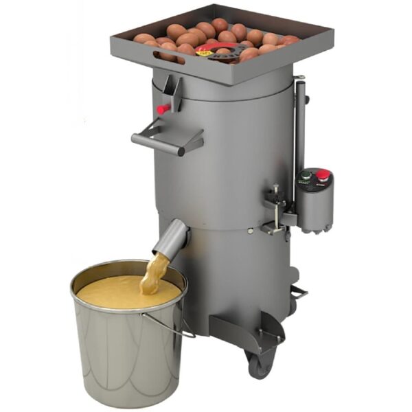 Egg Processing